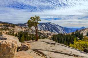 Olmsted Point-4864.jpg